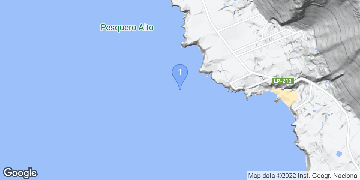 Puerto Naos dive site map