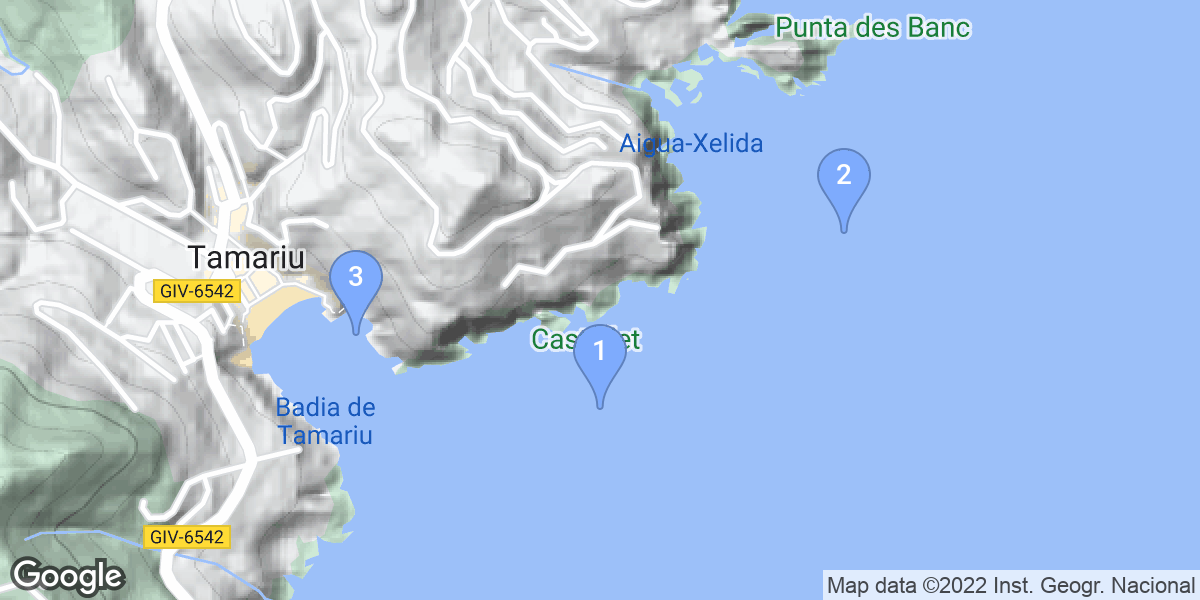 Tamariu dive site map