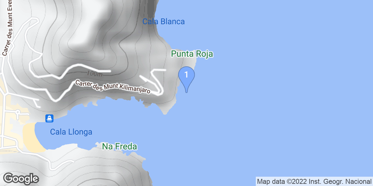 Cala Llonga dive site map
