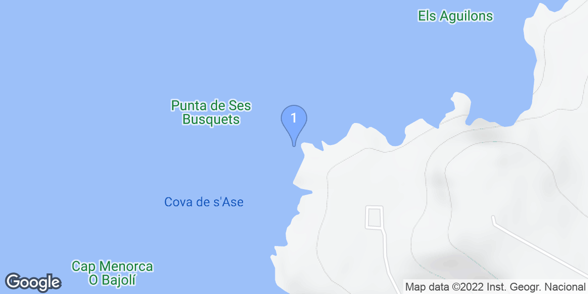 Cales Piques dive site map