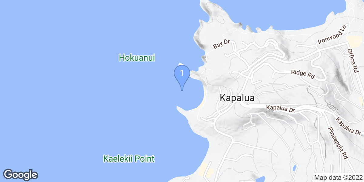 Kapalua dive site map