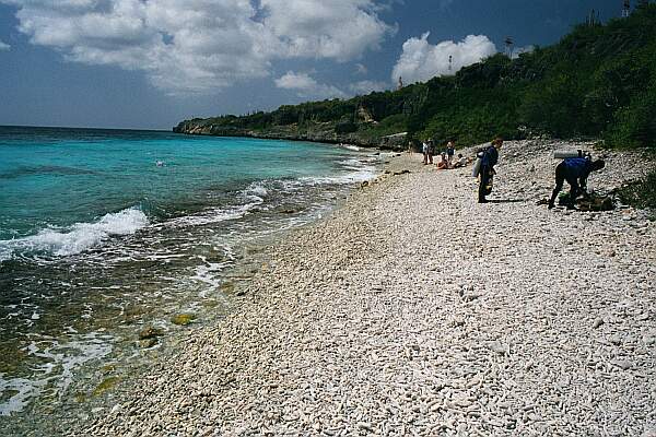 The coral makes for an easy entry.