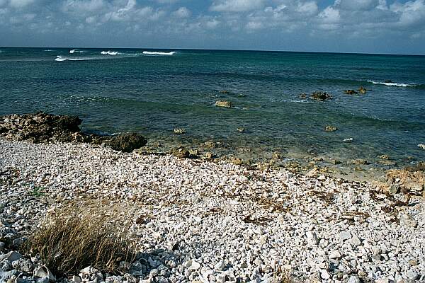 An easy gravel entry awaits you.  Keep you fins off and walk out a bit before submerging.