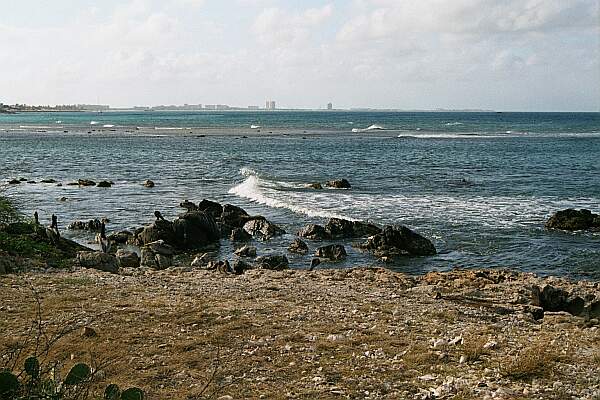 Shallow Reef